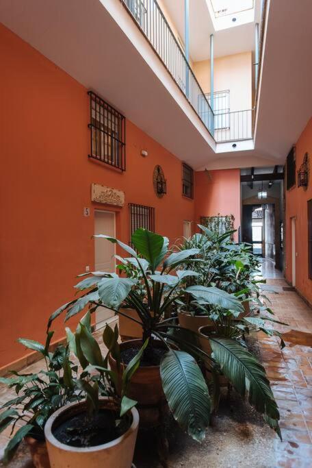 Selecta Elegante Y Centrico Apartamento Seville Exterior photo